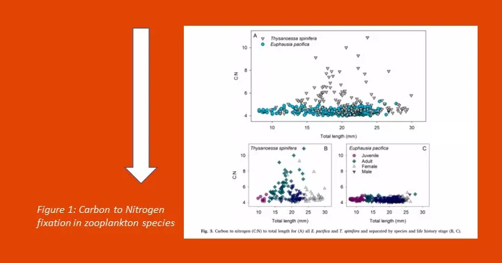 example of a scatter plot chart in a presentation with accompanying caption explaining the chart